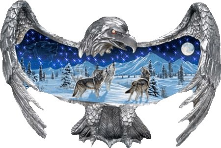 Eagle Wolf Snow Eagle Wolf Snow